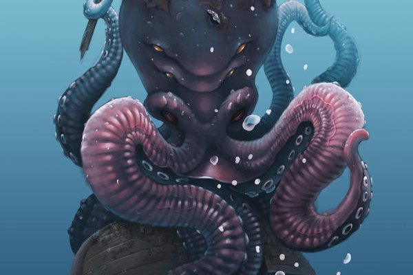 Www kraken 20at net