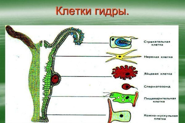 Кракен сайт 1kraken me
