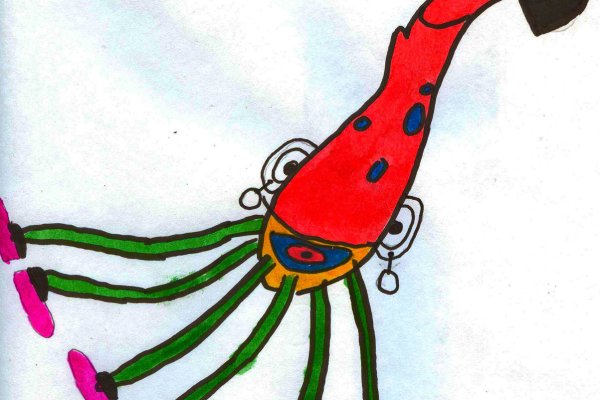 Kraken 17 at