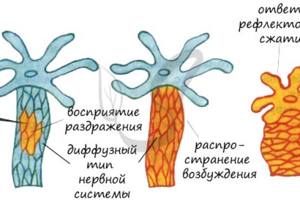 Ссылка кракен cc