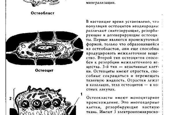 Кракен маркет даркнет скачать
