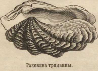 Кракен зеркало на тор